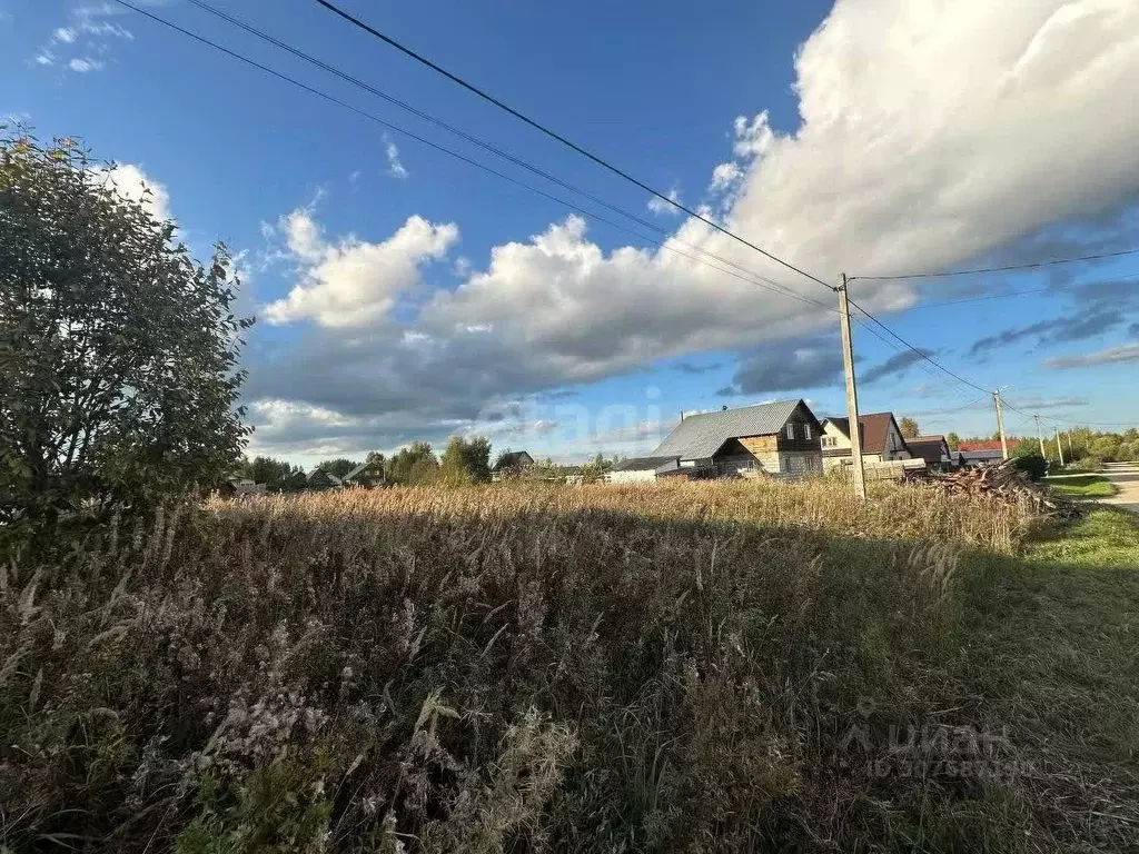 Участок в Ярославская область, с. Брейтово ул. Надежды (15.0 сот.) - Фото 0