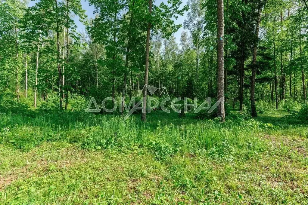 Участок в Москва д. Романцево,  (400.0 сот.) - Фото 0