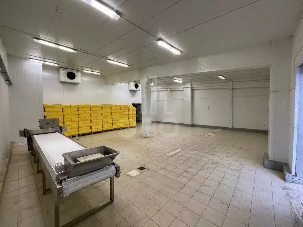 Склад в Санкт-Петербург, Санкт-Петербург, Петергоф ул. Первого Мая, 89 ... - Фото 2