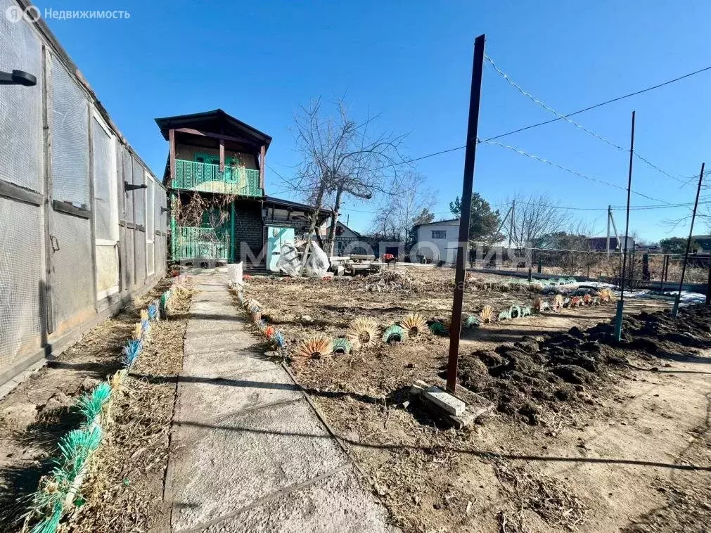 Дом в Амурская область, Серышевский муниципальный округ, СНТ ... - Фото 1