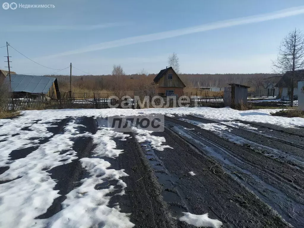 Участок в Тюменская область, Ишимский муниципальный округ, садовое ... - Фото 1