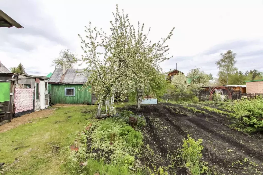 Дом в Тюменская область, Тюмень СОСН Автоприбор тер., ул. Липовая (36 ... - Фото 1
