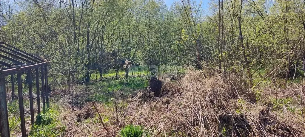 Участок в Нижегородская область, Нижний Новгород Родник садоводческое ... - Фото 1