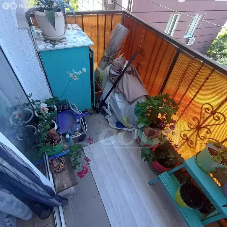 Квартира-студия: Краснодарский край, городской округ Сочи, село ... - Фото 0