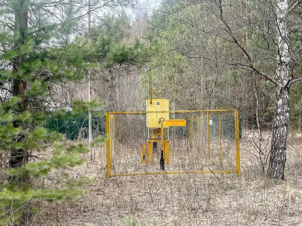 Участок в Ярославская область, Некрасовское с/пос, д. Турово  (24.0 ... - Фото 1