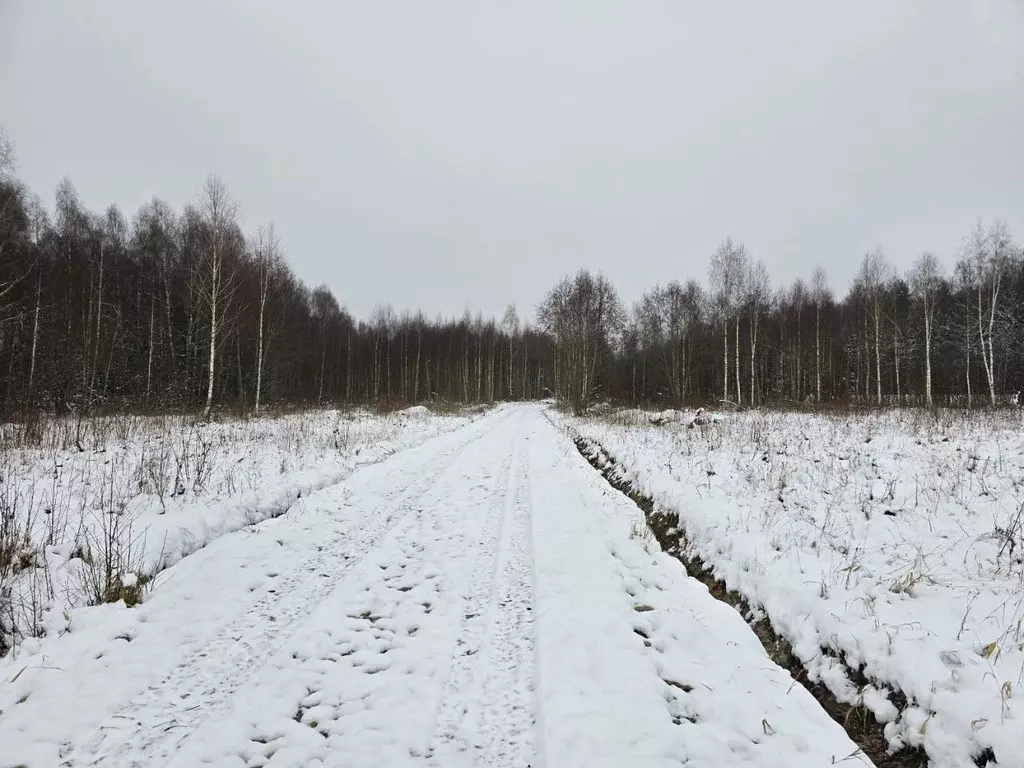 Участок в Московская область, Дмитровский городской округ, Раменье дп  ... - Фото 0