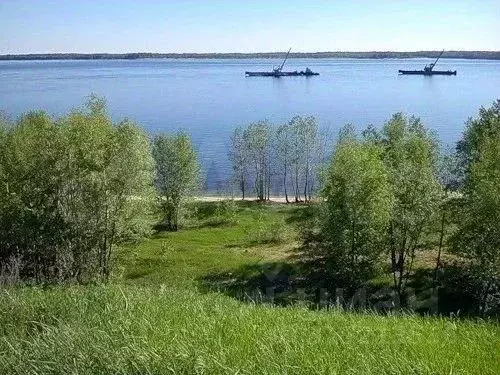 Участок в Саратовская область, Вольский район, Терсинское ... - Фото 1