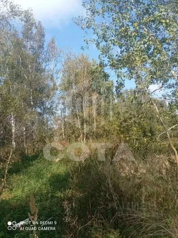 Участок в Воронежская область, с. Новая Усмань ул. Генерала Ватутина ... - Фото 2
