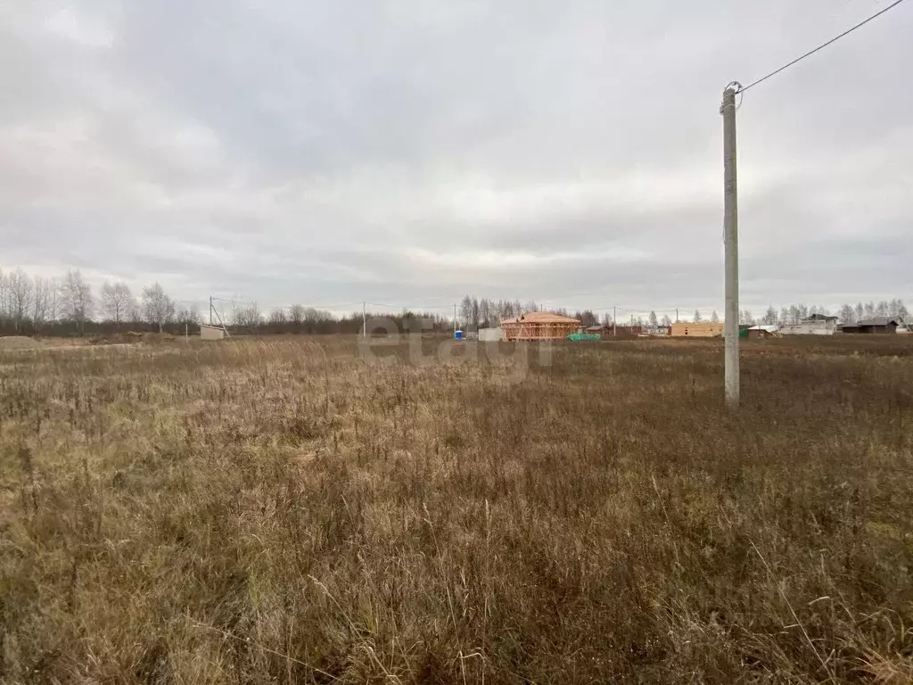 Участок в Костромская область, Кострома Первый кп, проезд Хвалынский, ... - Фото 1