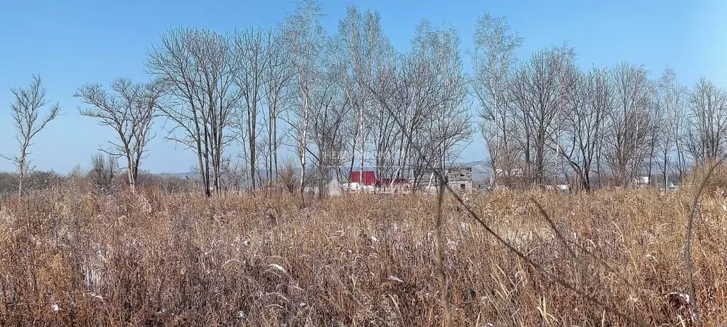 Участок в Приморский край, Анучинский муниципальный округ, с. Таежка ... - Фото 0