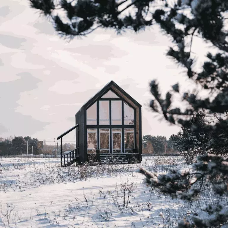 Дом в Тульская область, Алексинский район, с. Бунырево  (65 м) - Фото 1