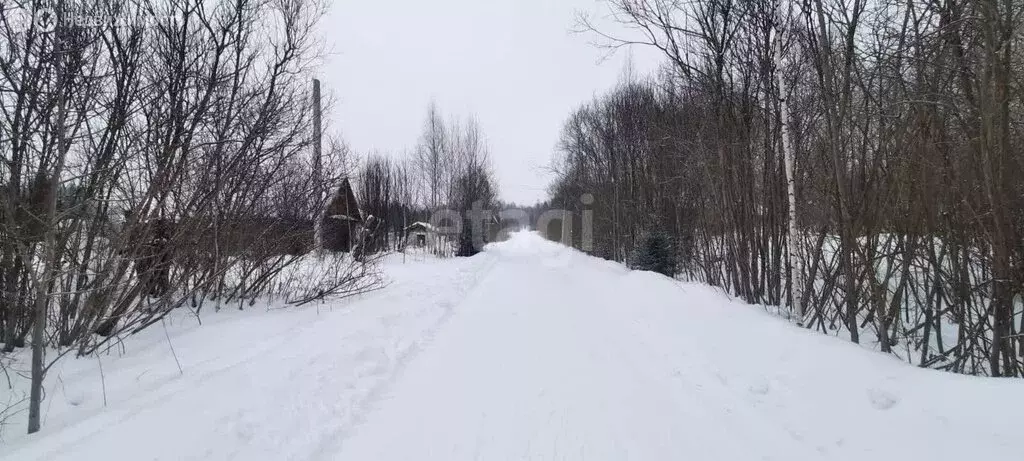 Участок в Томск, посёлок Родионово, улица Возрождения (15.1 м) - Фото 0