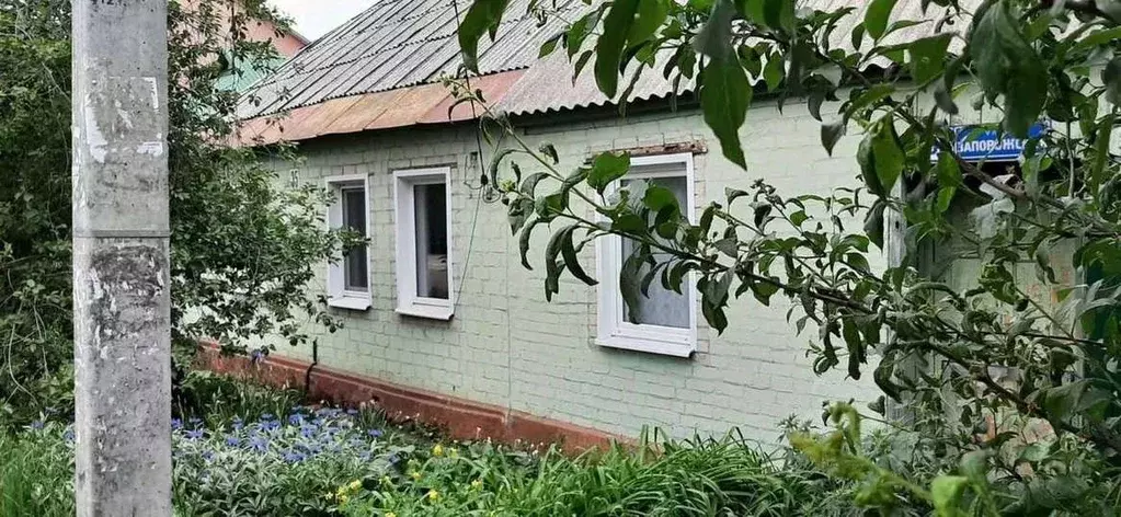 Дом в Воронежская область, Новоусманский район, с. Рогачевка ул. ... - Фото 2