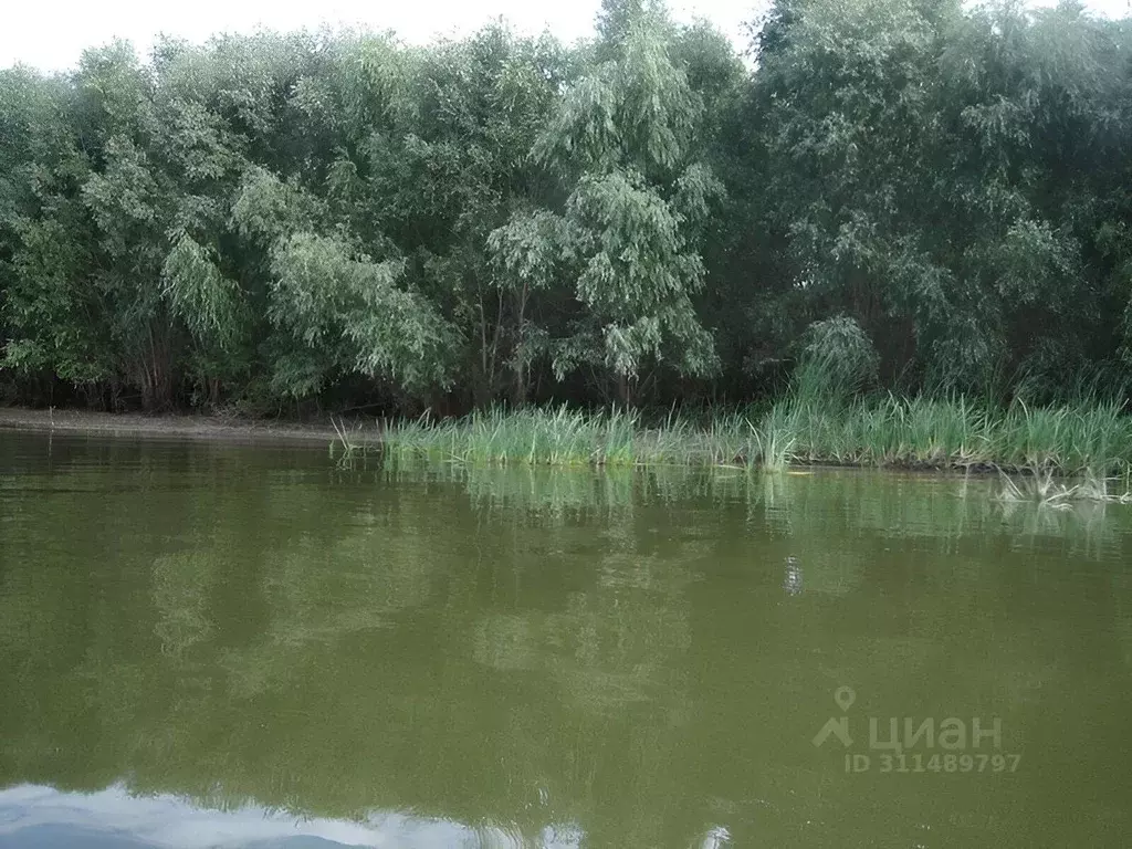 Участок в Липецкая область, Хлевенский район, Ворон-Лозовский ... - Фото 0