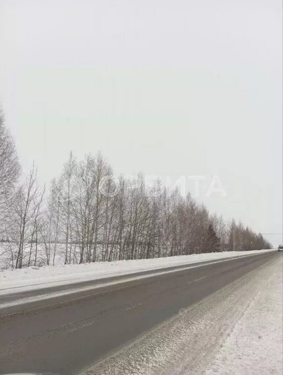 Участок в Тюменская область, Тюменский район, Воскресенье-1 ДНТ  (6.58 ... - Фото 1