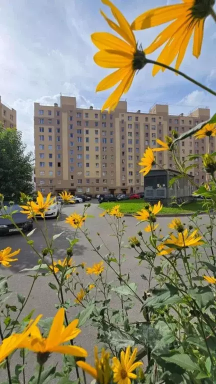 2-к кв. Санкт-Петербург пос. Шушары, Московское ш., 264 (47.0 м) - Фото 1