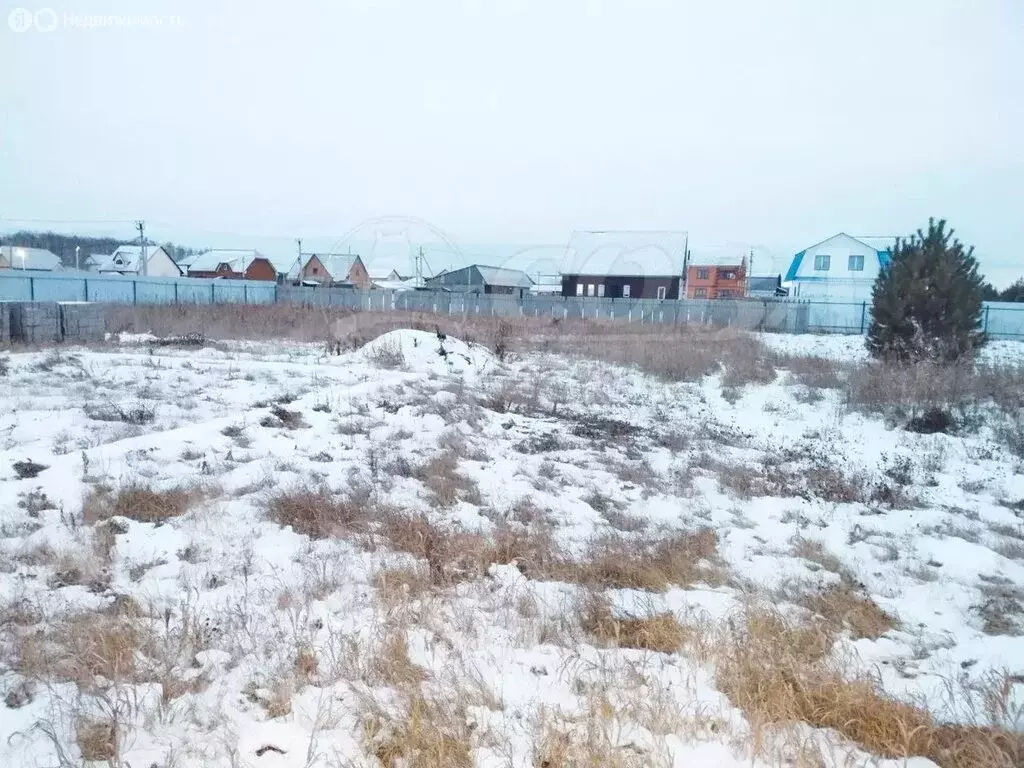 Участок в Тюменская область, село Нижняя Тавда (17.6 м) - Фото 2