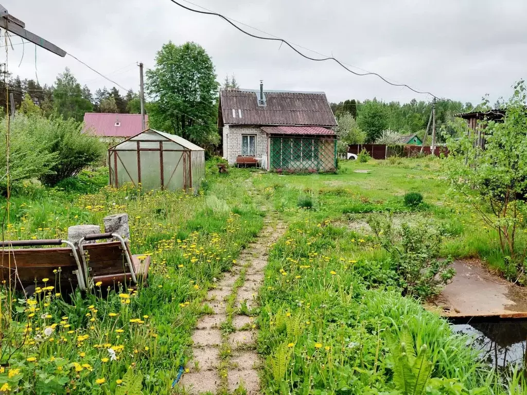 Дом в Псковская область, Псковский муниципальный округ, д. Черняковицы ... - Фото 2