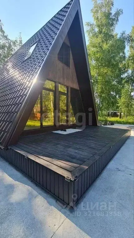 Дом в Новосибирская область, Новосибирский район, с. Боровое  (46 м) - Фото 0