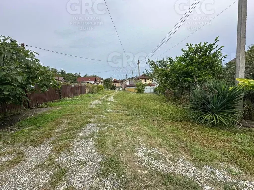 Участок в Краснодарский край, Сочи пос. Вардане, ул. Оливковая (6.0 ... - Фото 2