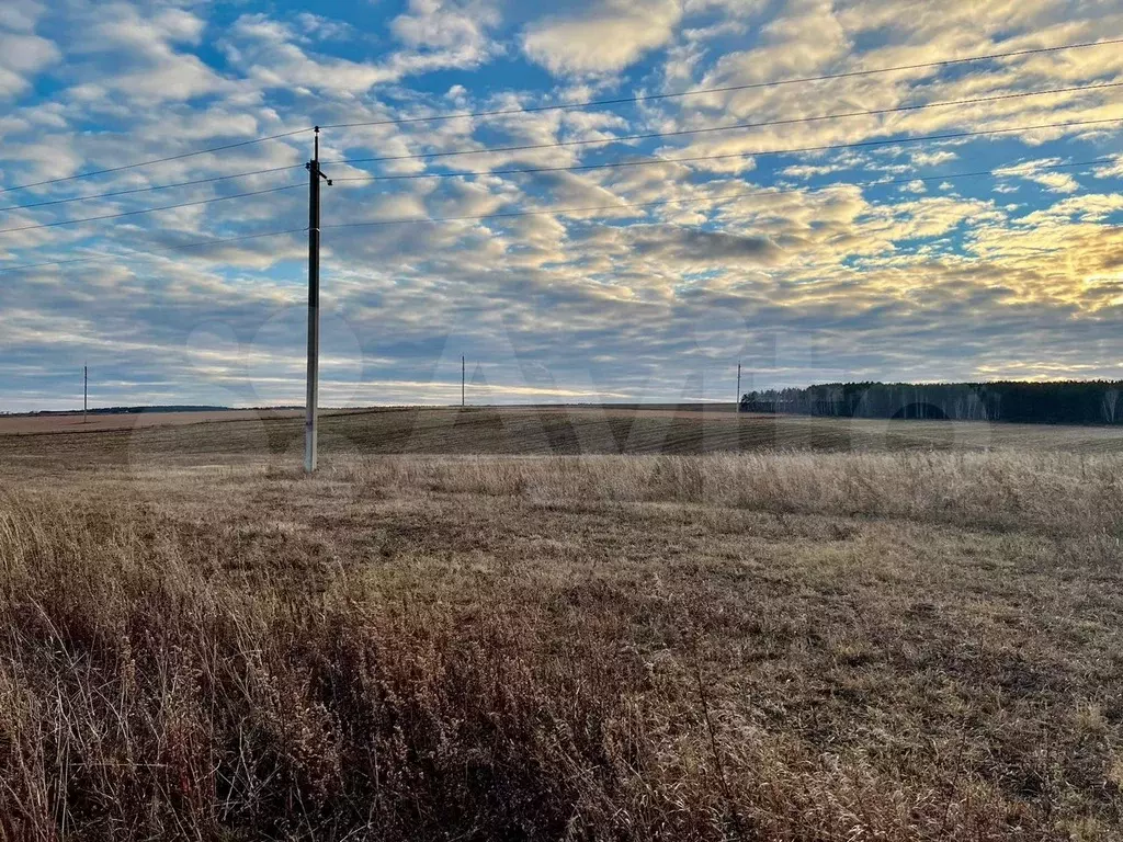 Участок 7 га (СНТ, ДНП) - Фото 0