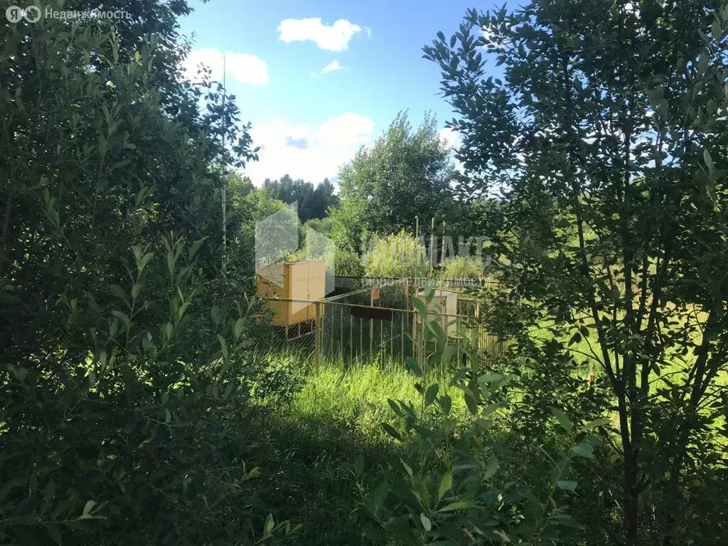 Участок в Тверская область, Зубцовский муниципальный округ, деревня ... - Фото 2