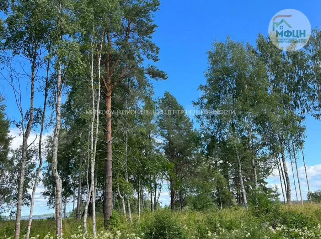 Участок 12,7 сот. (СНТ, ДНП) - Фото 1