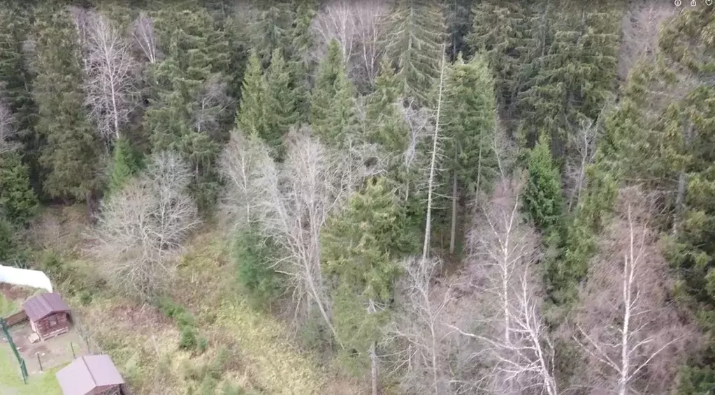 Участок в Московская область, Можайский муниципальный округ, Лесная ... - Фото 2