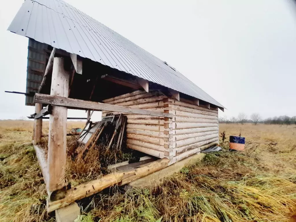 Участок в Новгородская область, Новгородский район, Трубичинское ... - Фото 2