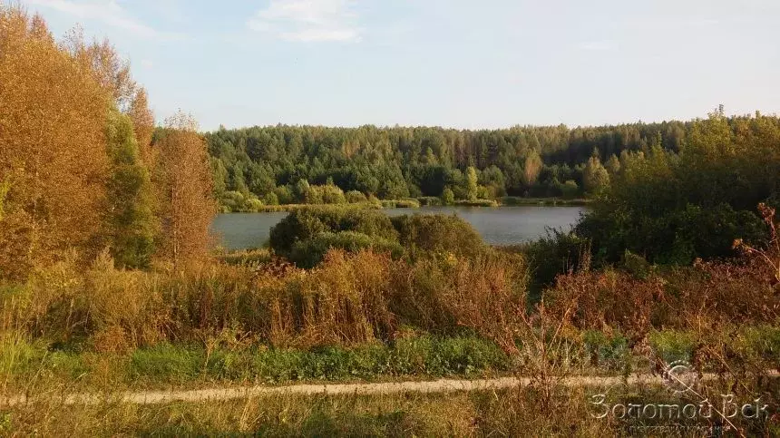 Участок в Брянская область, Выгоничский район, Утынское с/пос, с. ... - Фото 0