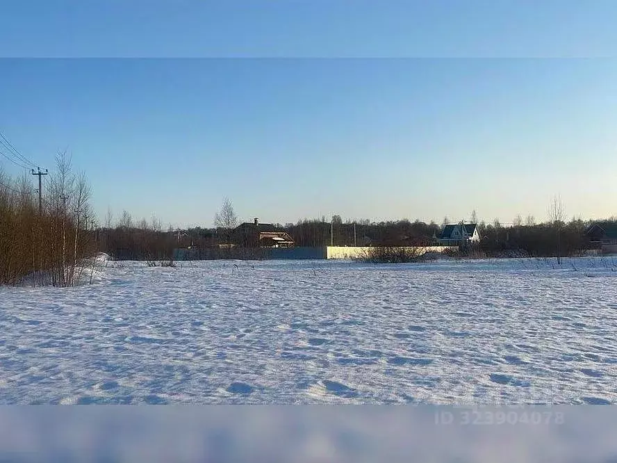 Участок в Московская область, Клин городской округ, д. Дятлово  (7.77 ... - Фото 1