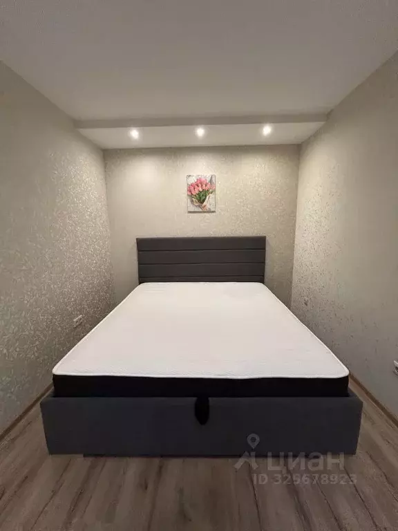 1-к кв. Ленинградская область, Ломоносовский район, Аннинское ... - Фото 2