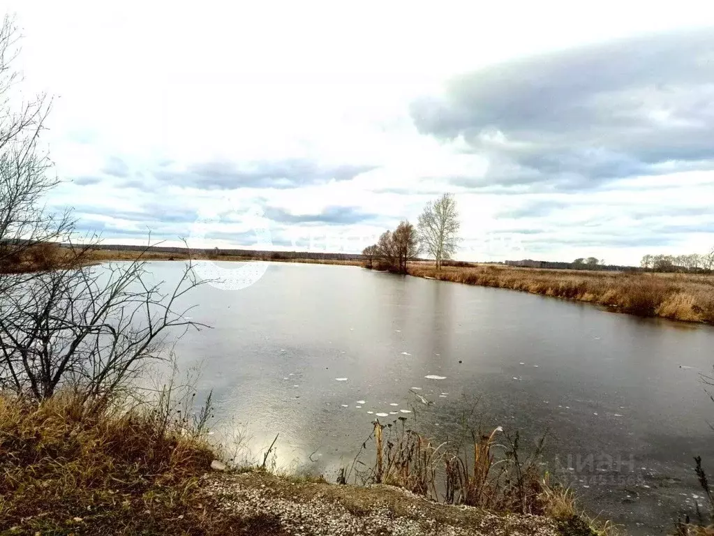 Участок в Свердловская область, Белоярский муниципальный округ, ... - Фото 2