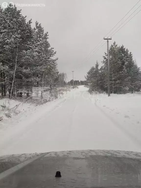 Участок в Санниковский сельсовет, СНТ ДП Снегири (10 м) - Фото 1