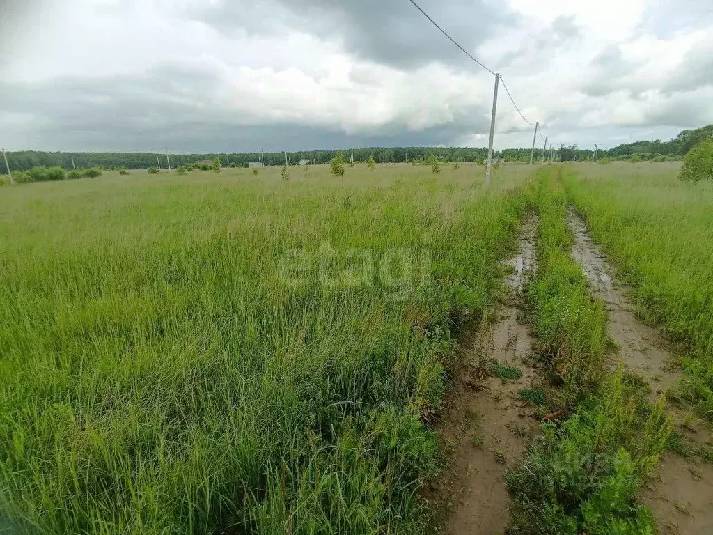Участок в Московская область, Коломна городской округ, д. Шапкино  ... - Фото 1