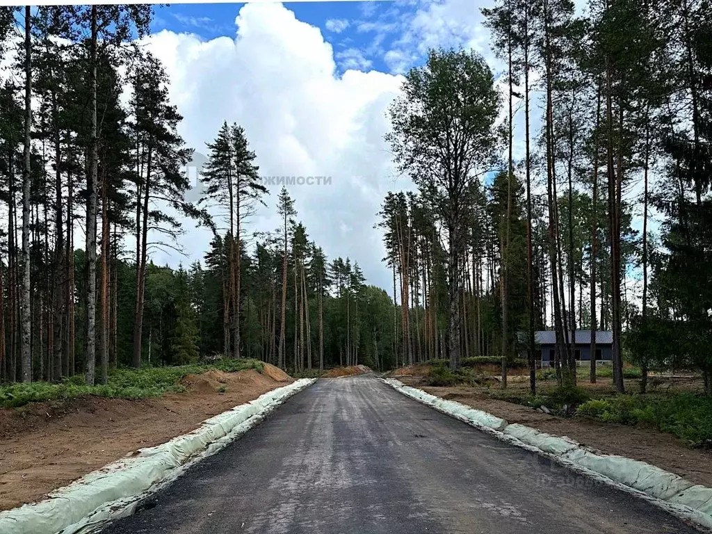 Участок в Ленинградская область, Всеволожский район, Куйвозовское ... - Фото 0