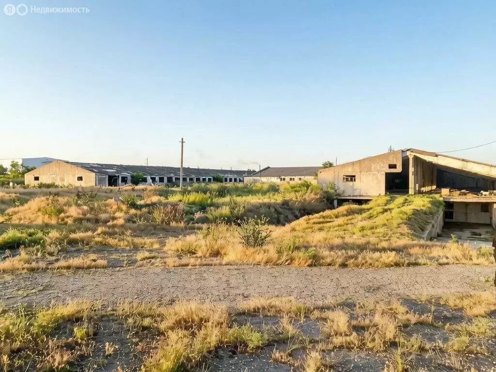 Участок в село Старомарьевка, Красная улица, 1 (650 м) - Фото 2