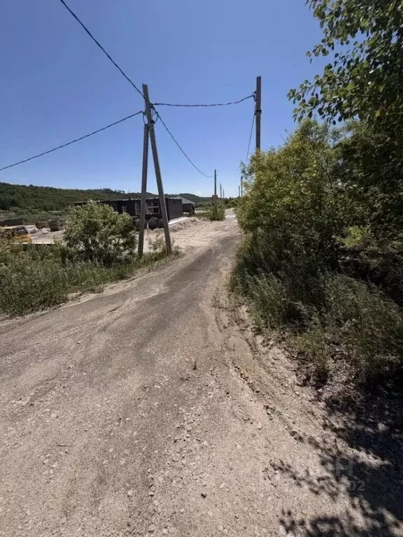 Участок в Амурская область, Благовещенский район, с. Кантон-Коммуна  ... - Фото 2
