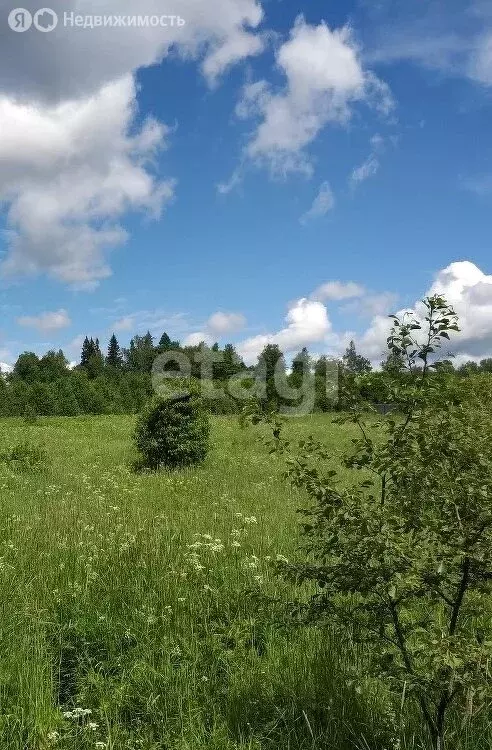 Участок в Московская область, городской округ Солнечногорск, деревня ... - Фото 0