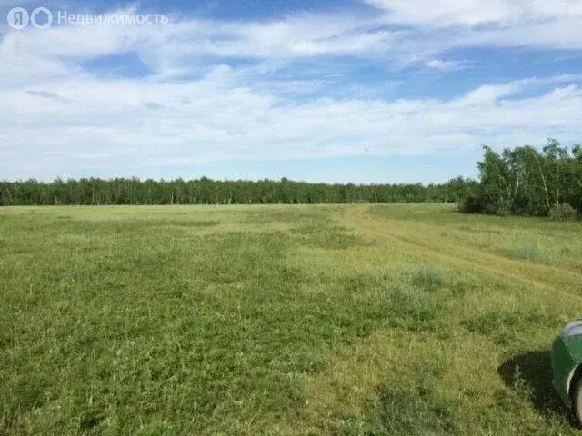 Участок в село Большебрусянское (80 м) - Фото 0