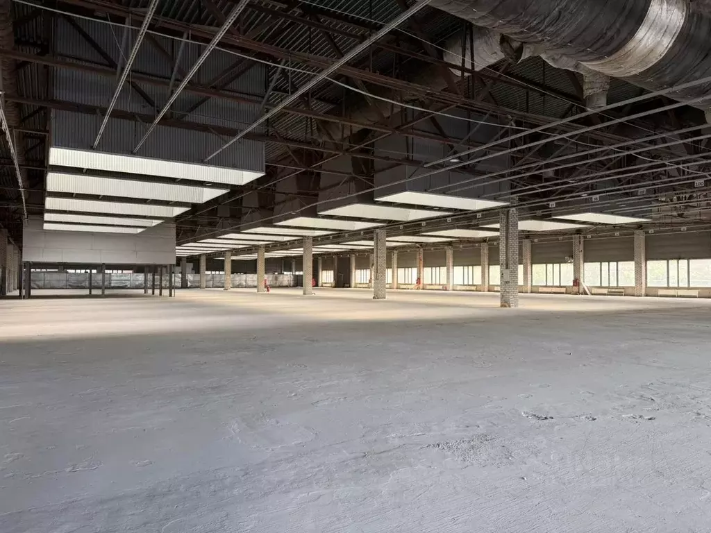 Склад в Воронежская область, Воронеж ул. Урывского, 6Б (6000 м) - Фото 1