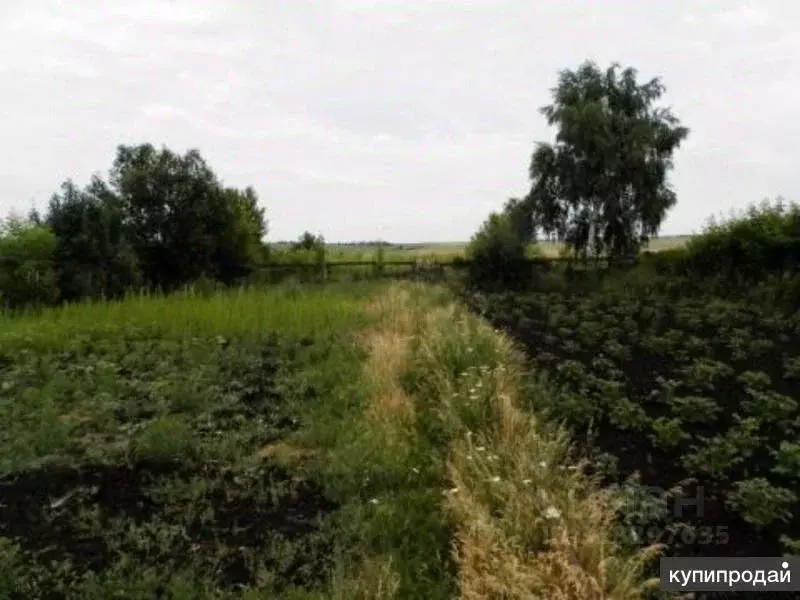 Участок в Самарская область, Волжский район, Подъем-Михайловка с/пос, ... - Фото 1
