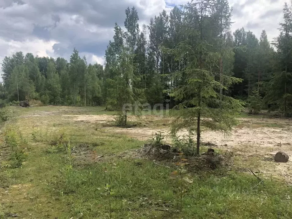Участок в Ленинградская область, Киришский район, Пчевжинское с/пос, ... - Фото 1