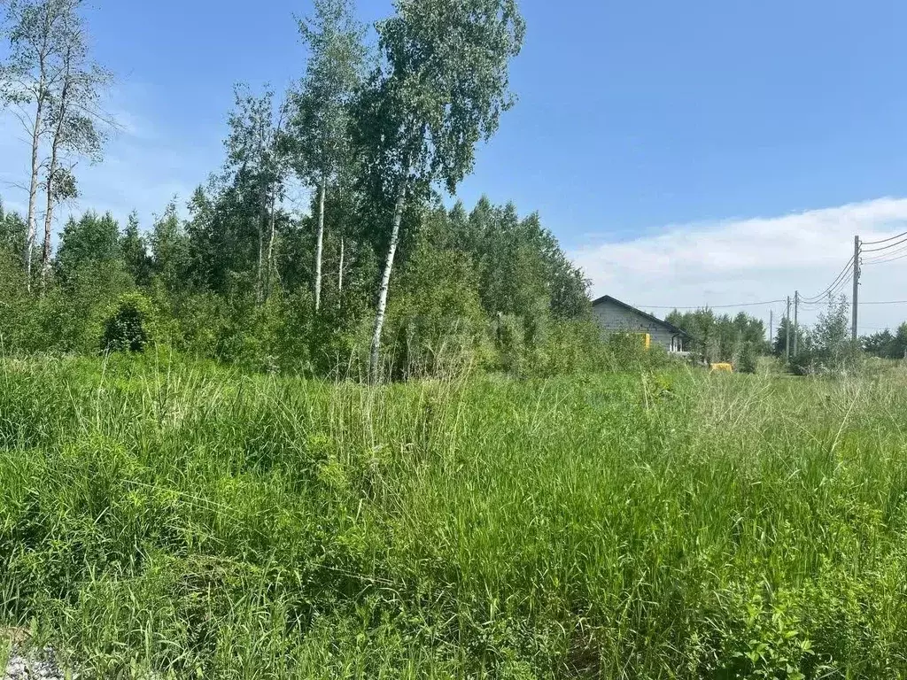 Участок в Новосибирская область, Искитимский район, Быстровский ... - Фото 0