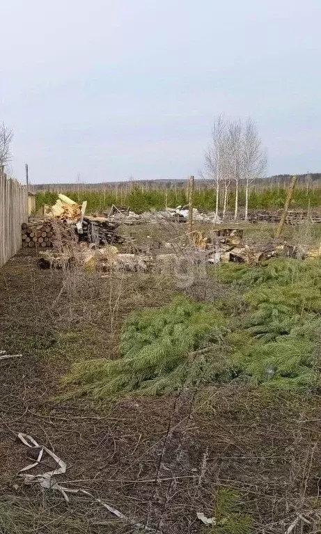 Участок в Свердловская область, Екатеринбург Зеленые Просторы ДНТ,  ... - Фото 1