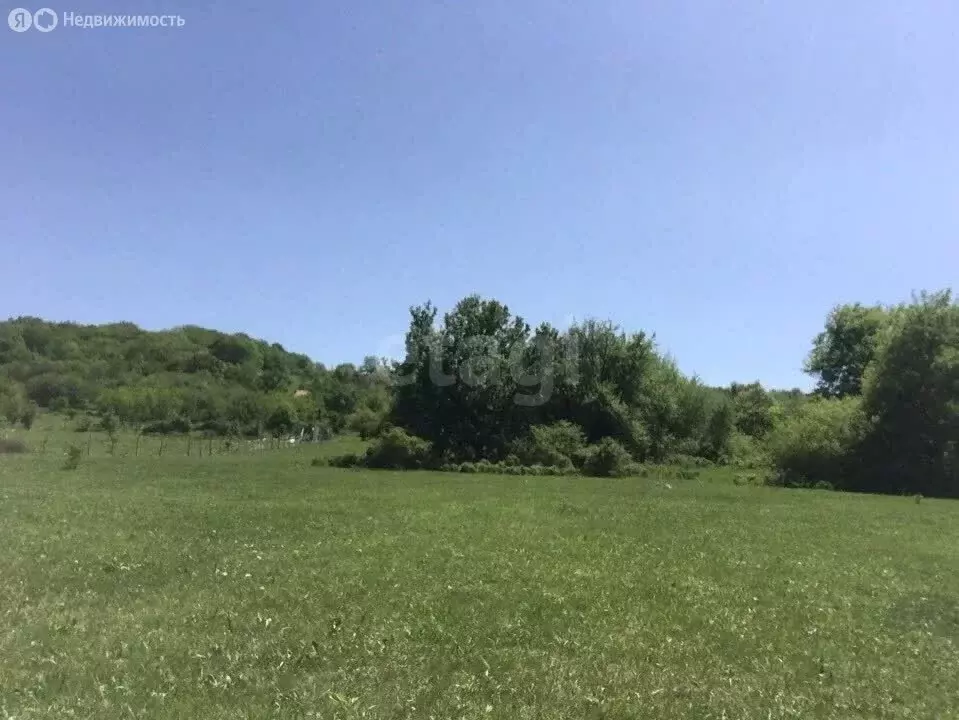 Участок в Белогорский район, Зеленогорское сельское поселение, село ... - Фото 2