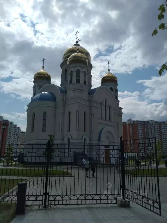 Студия Москва ул. Вертолетчиков, 21к5 (25.0 м) - Фото 2