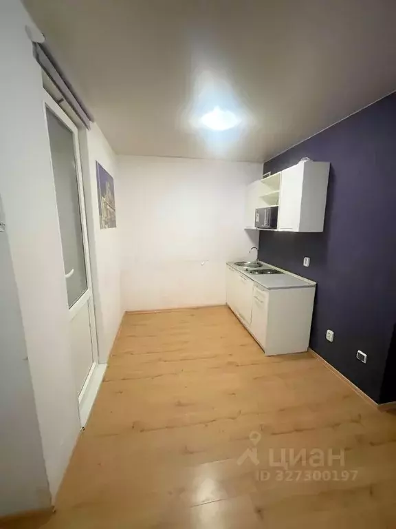 Студия Санкт-Петербург ул. Вадима Шефнера, 12к1 (22.8 м) - Фото 1