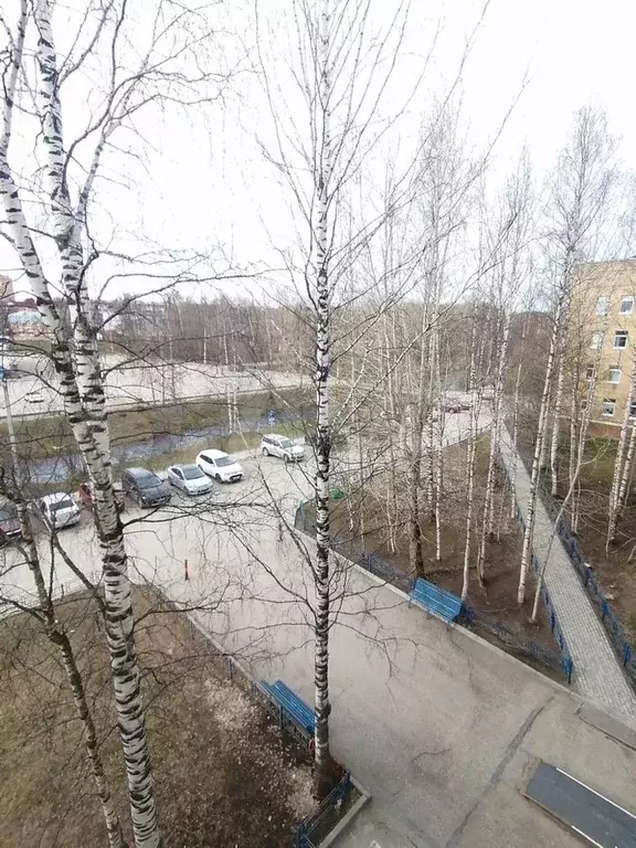 3-к. квартира, 55 м, 4/5 эт. - Фото 1