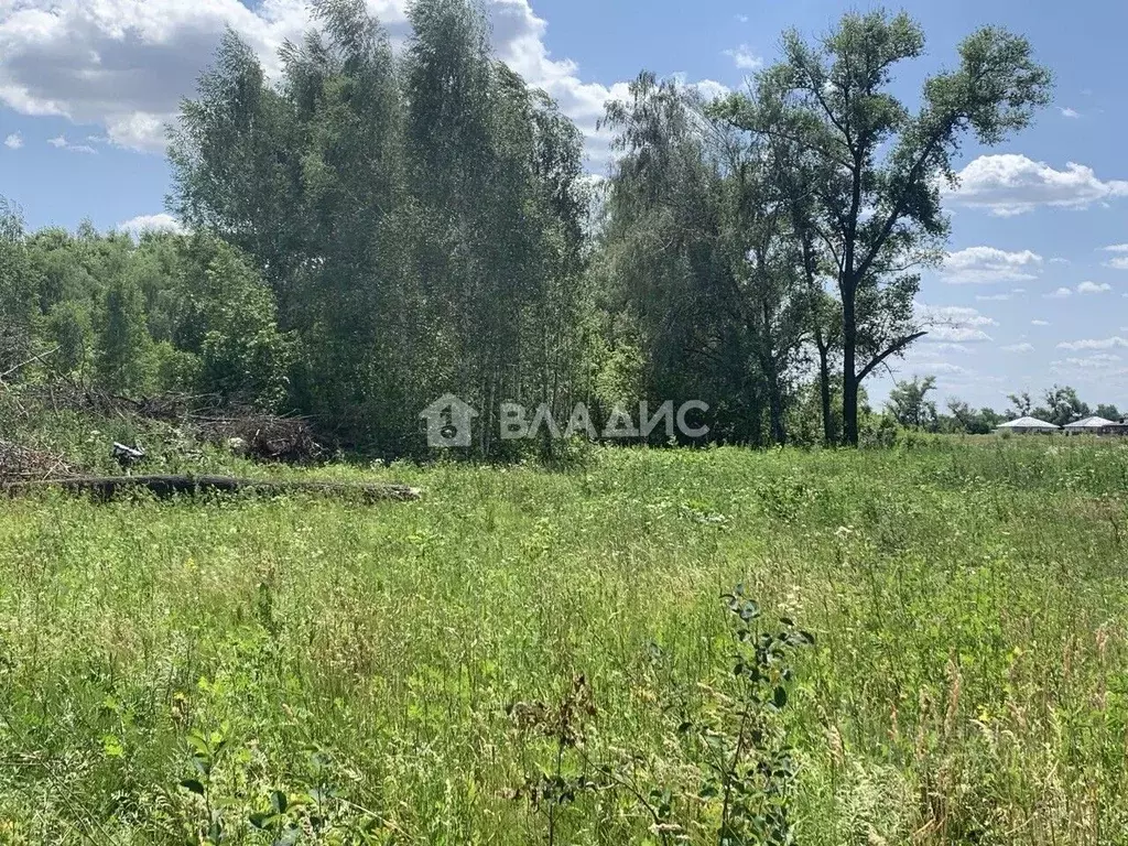 Участок в Воронежская область, Воронеж ул. Славянова (5.2 сот.) - Фото 1